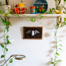 Load image into Gallery viewer, Felt Shadowbox Specimen