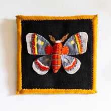 Load image into Gallery viewer, Felt Shadowbox Specimen