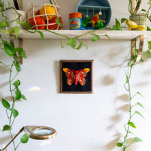 Load image into Gallery viewer, Felt Shadowbox Specimen