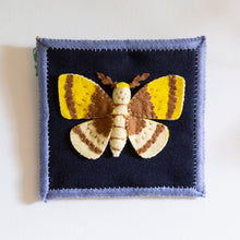 Load image into Gallery viewer, Felt Shadowbox Specimen