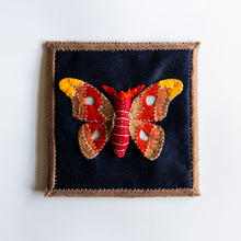 Load image into Gallery viewer, Felt Shadowbox Specimen