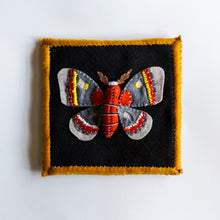 Load image into Gallery viewer, Felt Shadowbox Specimen