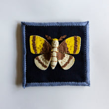 Load image into Gallery viewer, Felt Shadowbox Specimen