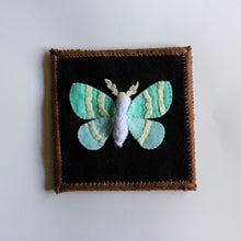 Load image into Gallery viewer, Felt Shadowbox Specimen