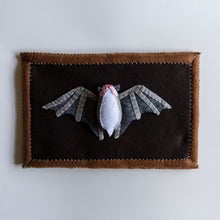 Load image into Gallery viewer, Felt Shadowbox Specimen