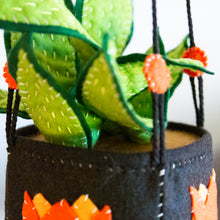 Load image into Gallery viewer, Felt Hanging Plant