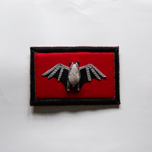 Load image into Gallery viewer, Felt Bat Shadowbox Specimen