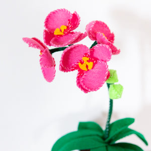 Felt Potted Orchid